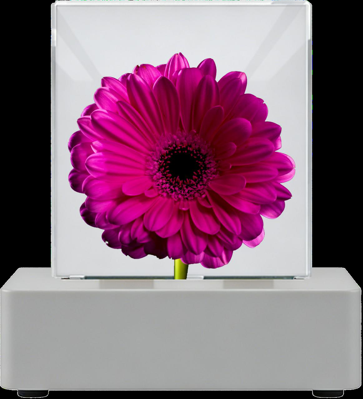 Color demo 9.41 inch transparent panel showing vivid color